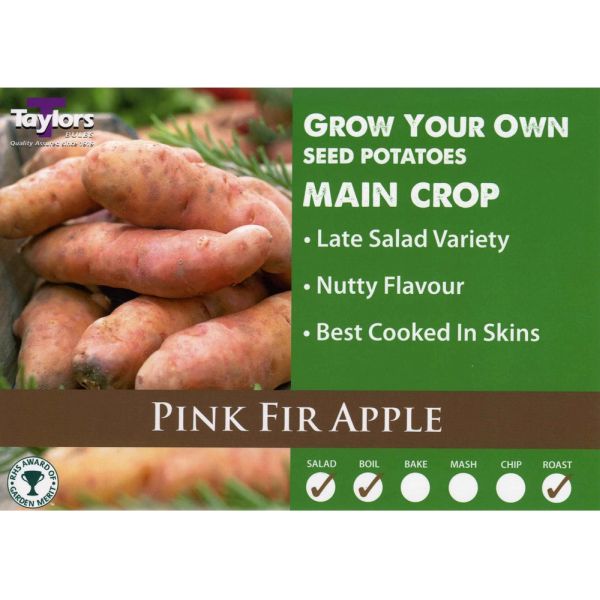 Pink Fir Apple Seed Potatoes 2kg Bag